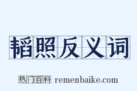 韬照反义词是什么意思的图片